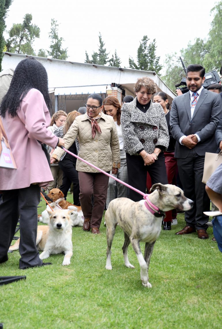 SSPC y el Edomex van contra la violencia animal