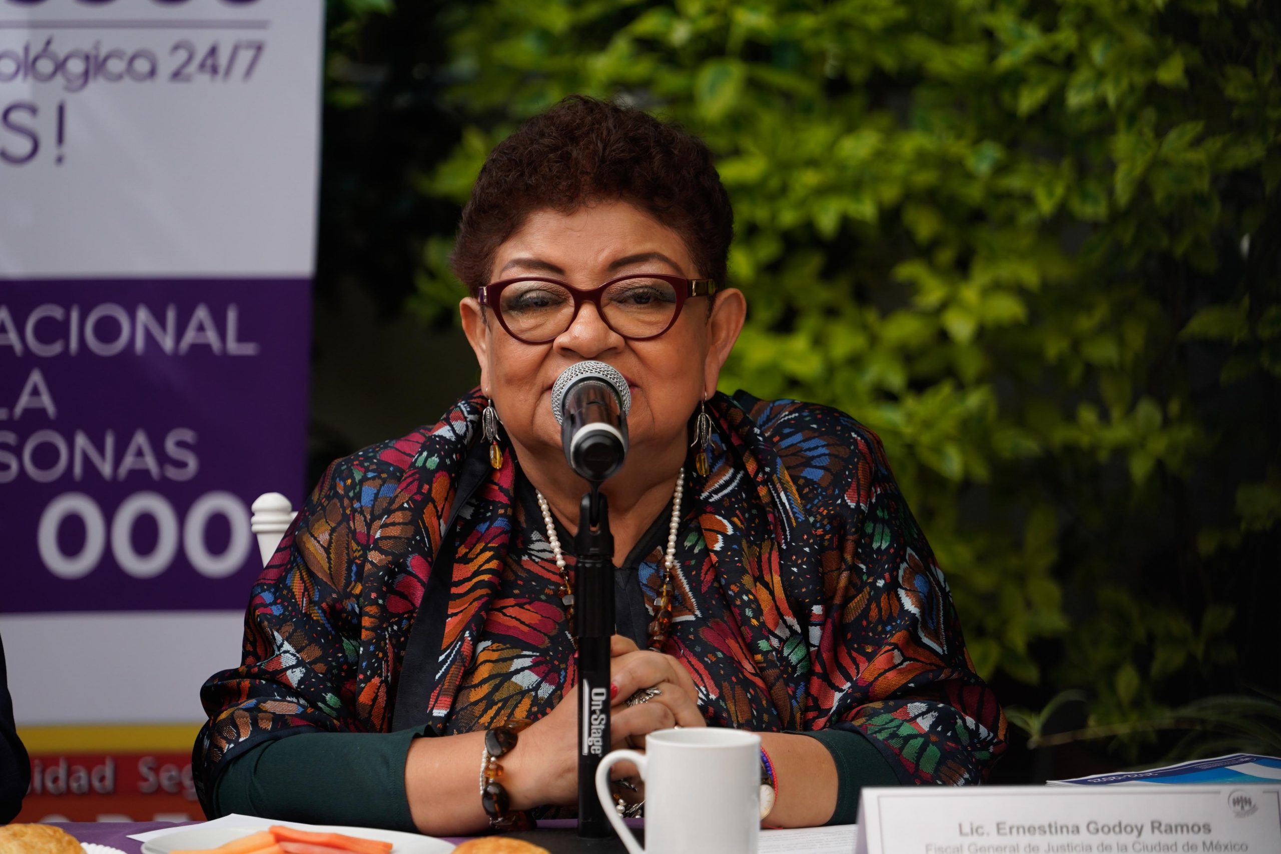 Ernestina Godoy