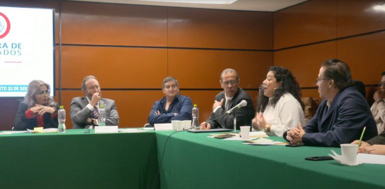Renuncia Guerra Ford como secretario del INAI