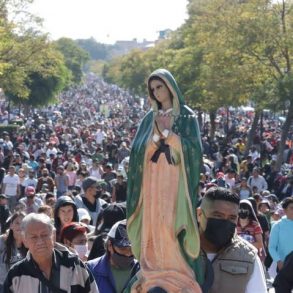 Profeco implementa acciones para garantizar la integridad de los peregrinos en la celebración de la Virgen de Guadalupe en la Basílica