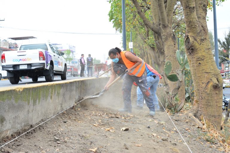 Inicia Coyoacán construcción de ciclopista y rehabilitación en Av. Santa Úrsula