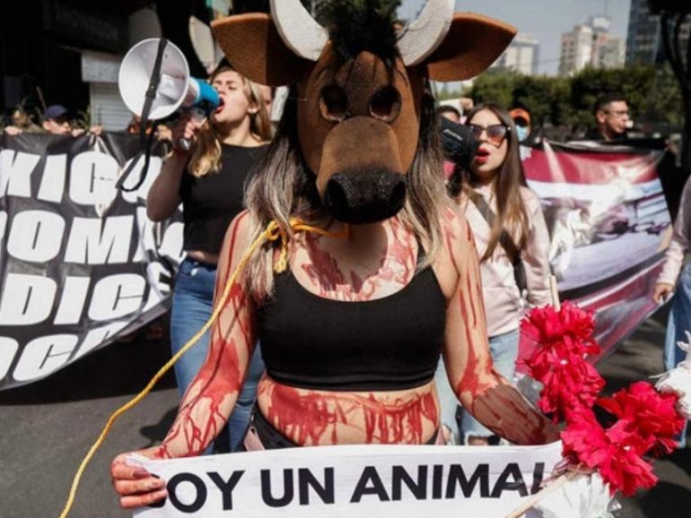 Regresaron las corridas de toros a la Plaza México