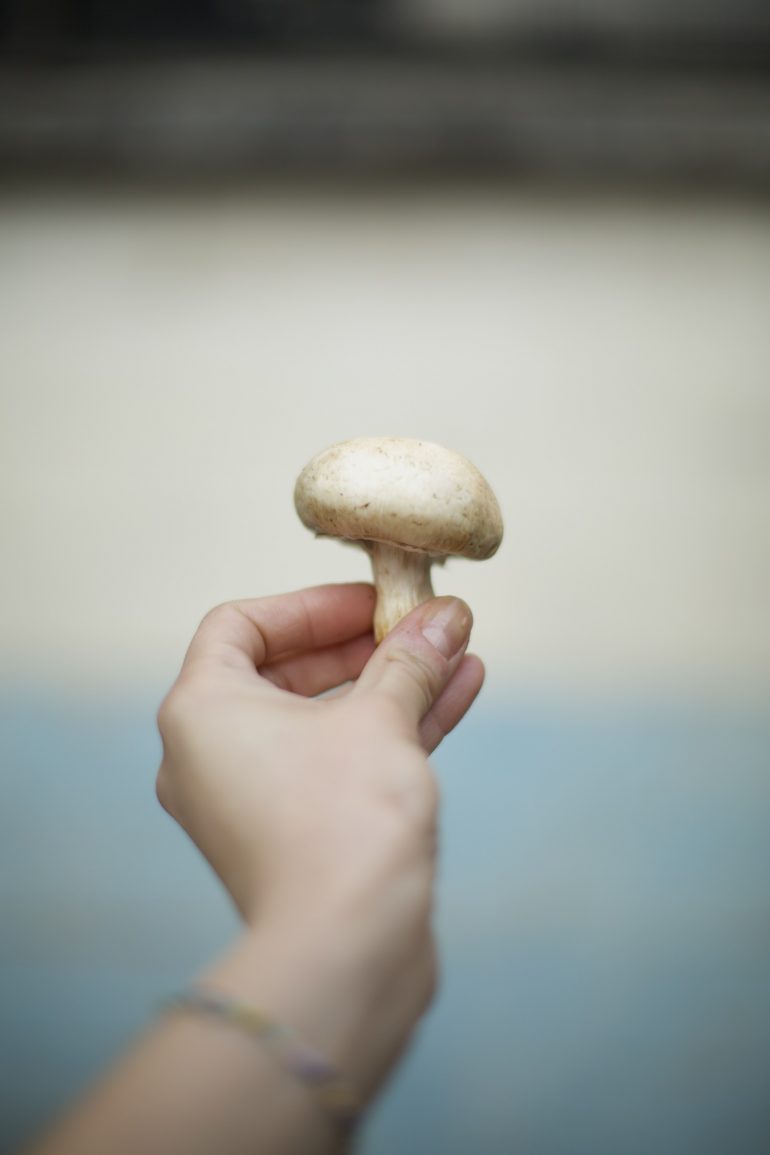 Recetas para la cuaresma: 3 opciones sencillas y económicas hechas con setas