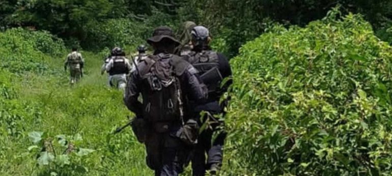 Matan a cuatro militares en Tepalcatepec, Michoacán