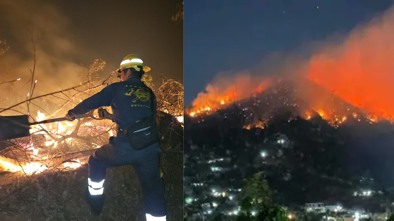 Fuerte incendio forestal consume el Parque Nacional El Veladero