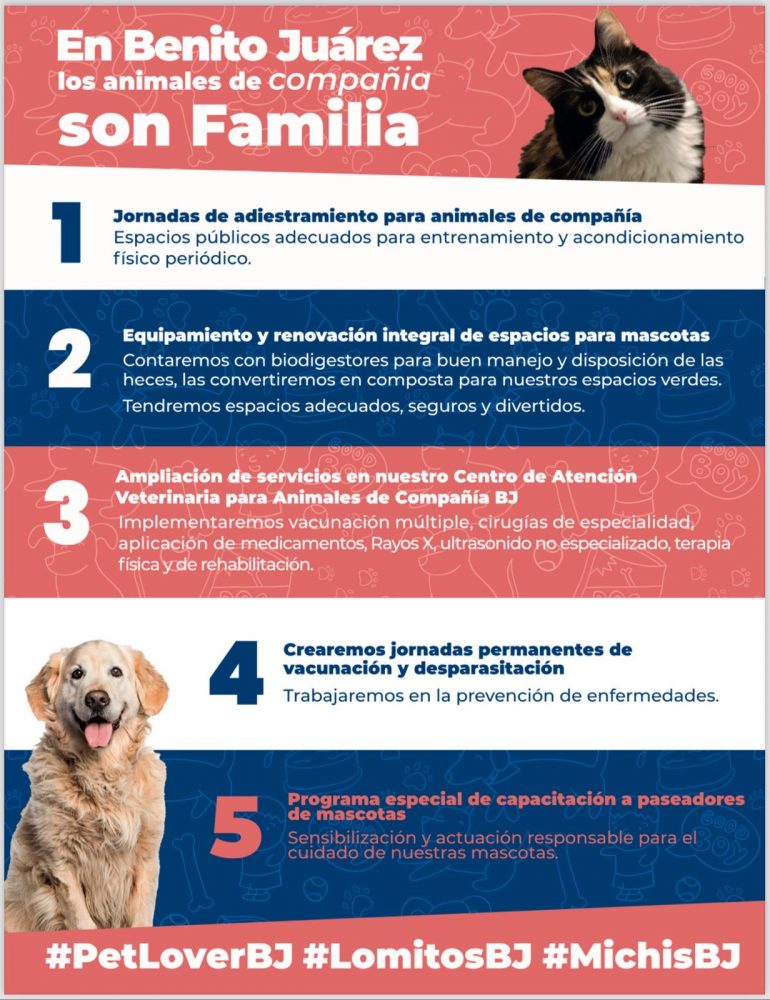 En la alcaldía Benito Juárez protegeremos a los animales de compañía como a nuestra familia: Luis Mendoza