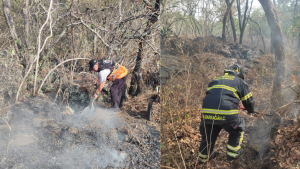 Fuerte incendio en el Bosque de Tlalpan