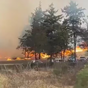 Fuerte incendio en el campus de la Universidad Autónoma