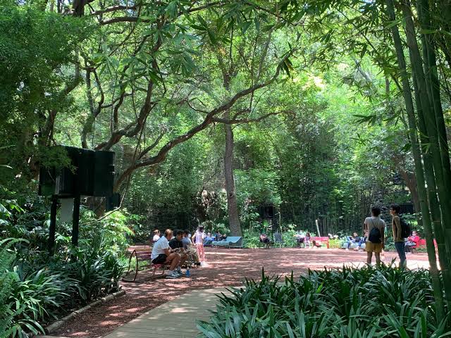 Bosque de Chapultepec: Conoce las nuevas regulaciones para visitantes