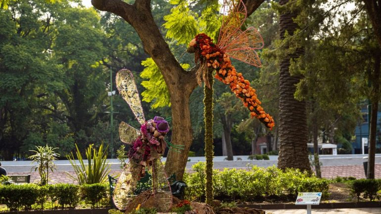 Todo sobre la Feria de las Flores 2024 en CDMX: Fechas, horarios y conciertos gratuitos