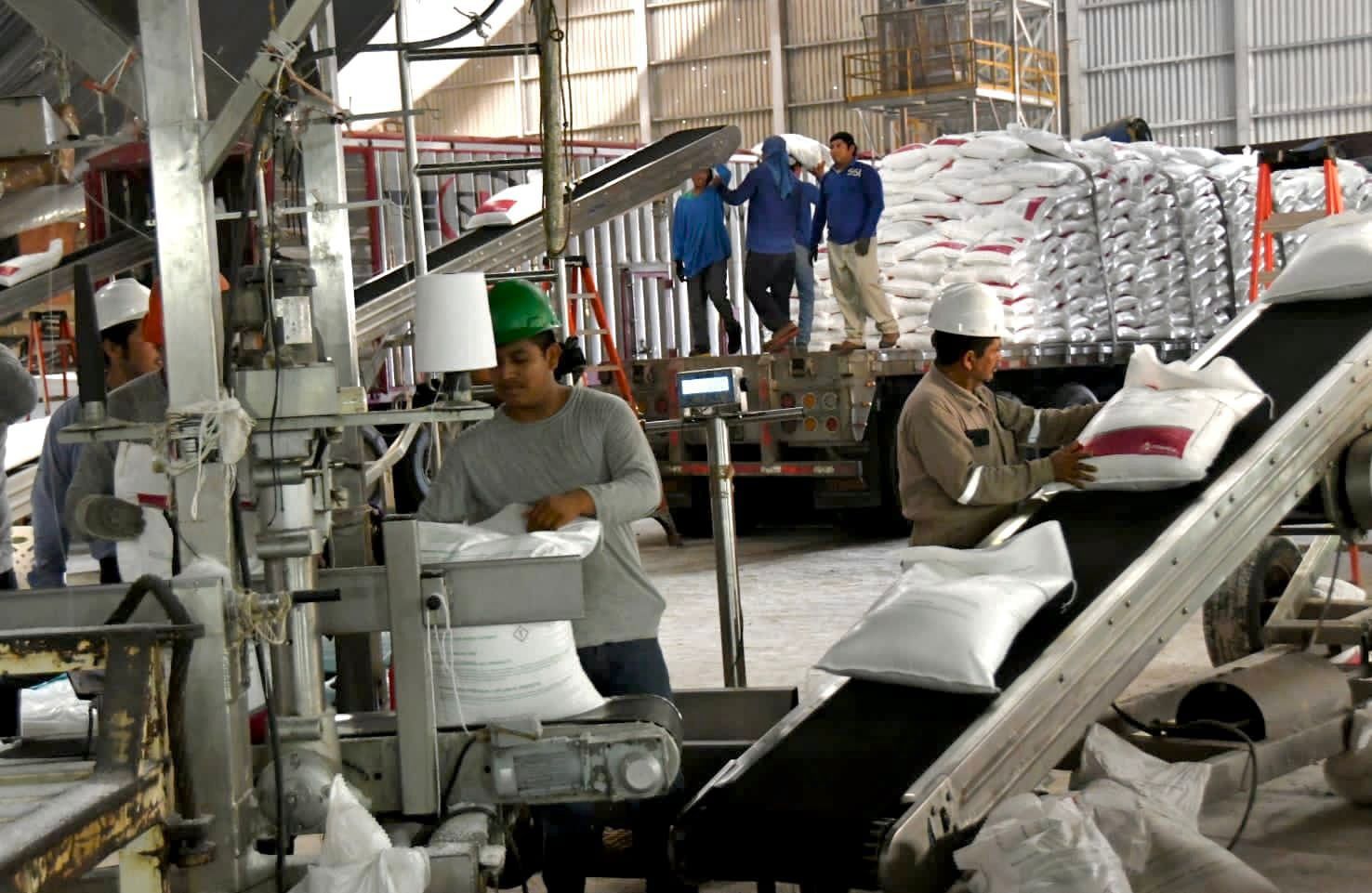 Pemex impulsa producción de petroquímicos y fertilizantes pone fin a años de estancamiento Pemex impulsa producción de petroquímicos y fertilizantes pone fin a años de estancamiento