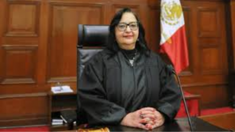 Norma-Pina-Consulta-Sobre-la-Posibilidad-de-Detener-la-Reforma-Judicial.
