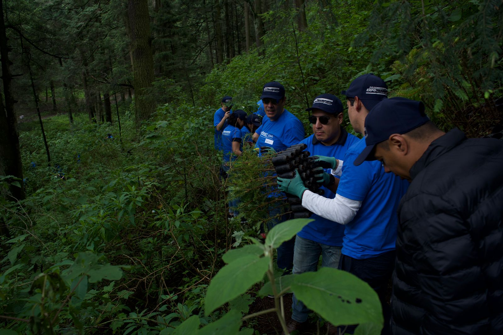 Reforestación voluntarios de la directiva de
