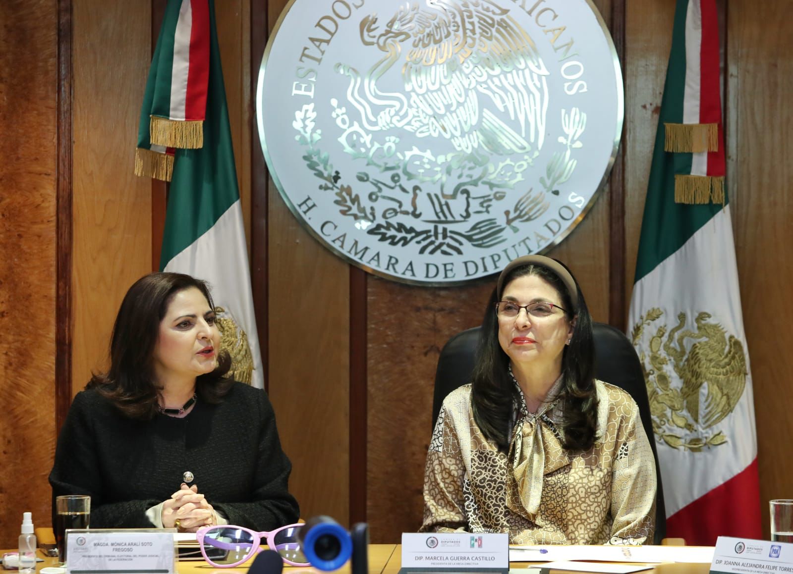 Mónica Soto Fregoso, presidenta del TEPJF, es elegida vicepresidenta de la AMEA
