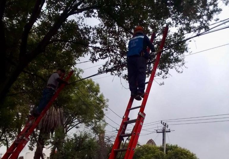 Retiran más de una tonelada de cable en desuso en la Alcaldía Benito Juárez