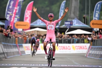 MAGLIA-ROSA