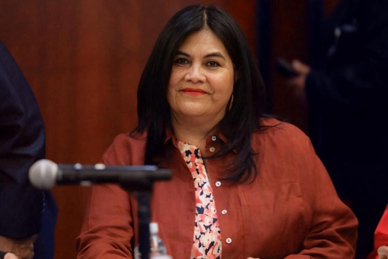SENADO LEGISLARÁ PARA COMBATIR EL DESPOJO EN TODO EL PAÍS: GUADALUPE CHAVIRA