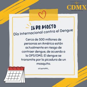 Día Internacional contra el Dengue: