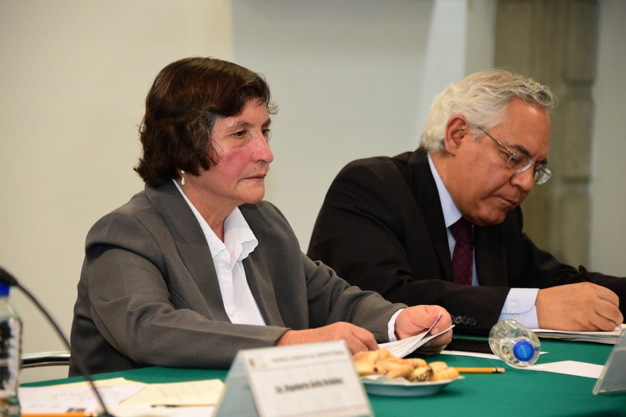 Morena por la pensión de adultos mayores