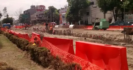 Vecinos evitan derribo de 60 Ã¡rboles en Mixcoac