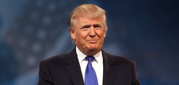normal/13183222f9e17583fe66d01391acabb2.jpg