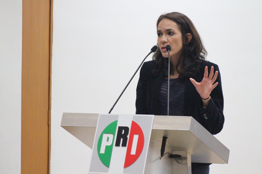 Pide diputada del PRI transparencia en el manejo de recursos para la reconstrucción