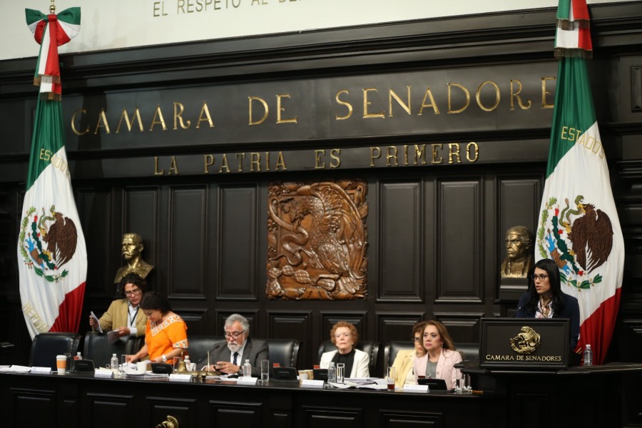 El jefe de Gobierno no podrá vetar leyes, determina la Asamblea Constituyente