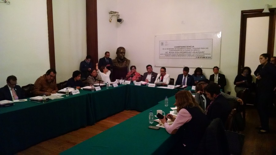 Comparece Rosa Icela Rodríguez ante la Asamblea Legislativa