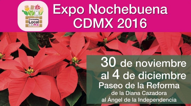 Inicia exposición de noche buena CDMX