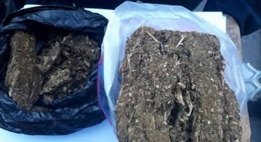 SSP-CDMX realiza otro decomiso de marihuana en Tepito