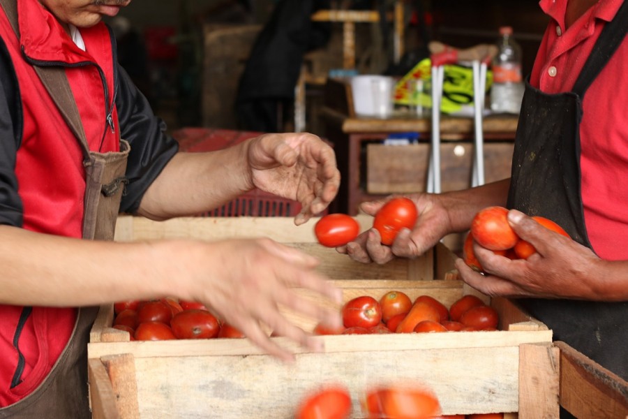 Jitomate, el producto rey de la Central de Abasto CDMX