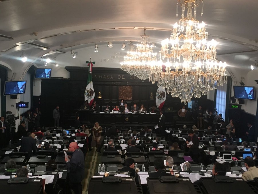 A punto de terminar la aprobación de lo relativo a la Carta de Derechos