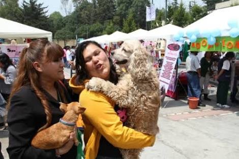Feria de Adopción de Mascotas en Álvaro Obregón