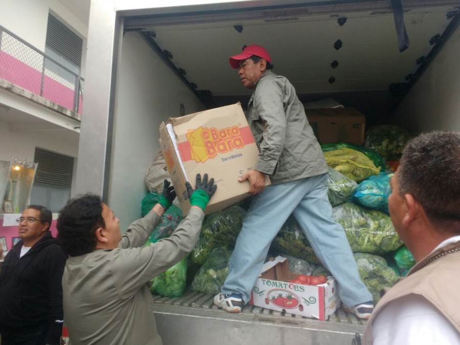 Central de Abasto suma una tonelada de alimento para mascotas de damnificados