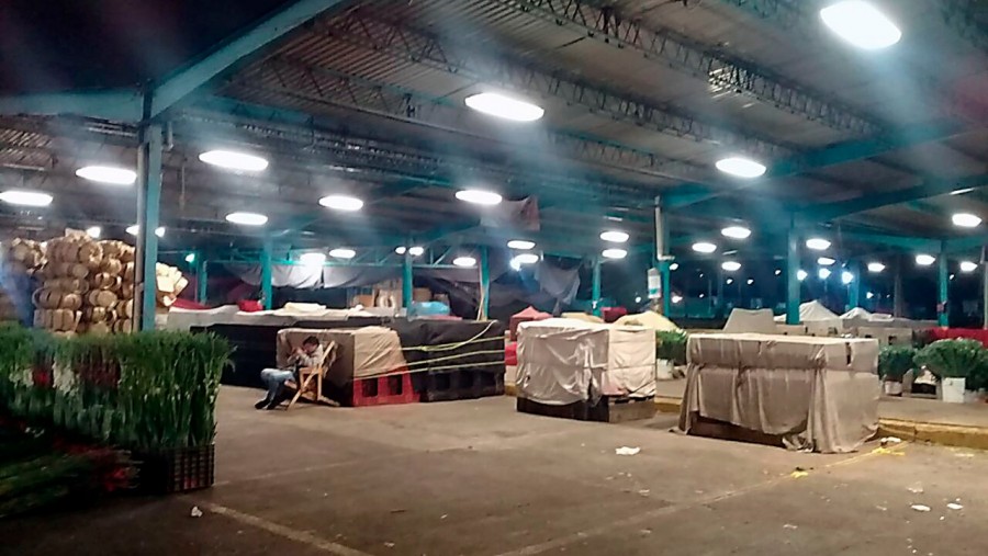 Realizan trabajos de remozamiento de la Central de Abasto de la CDMX