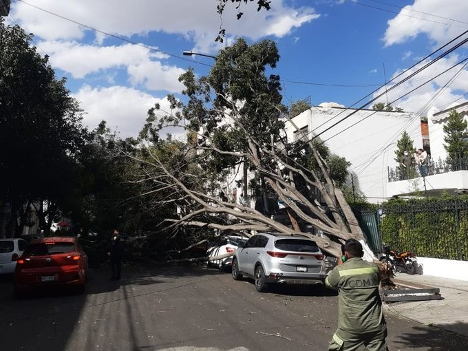 Activan alerta amarilla y naranja por vientos  en CDMX