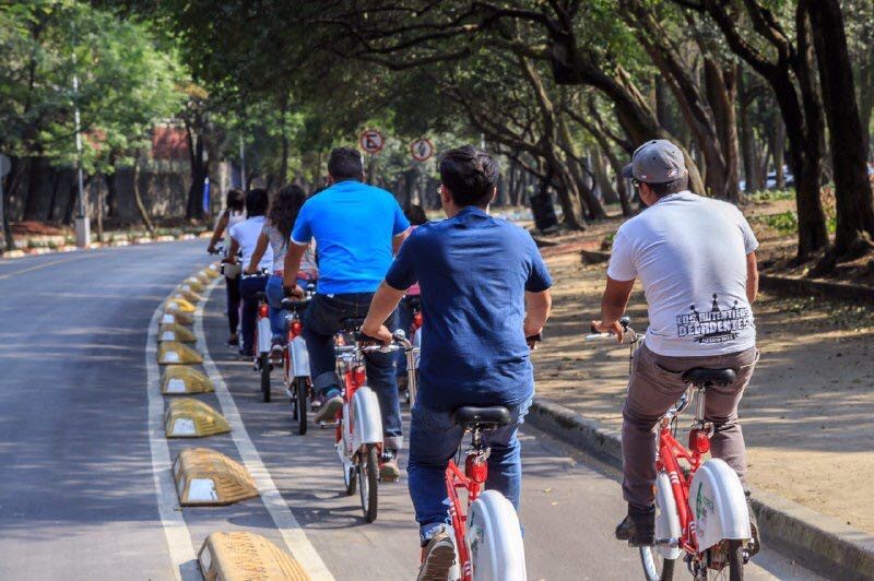 Acuden más de 3 mil personas a edición del Domingo Verde, en bosques de la CdMx