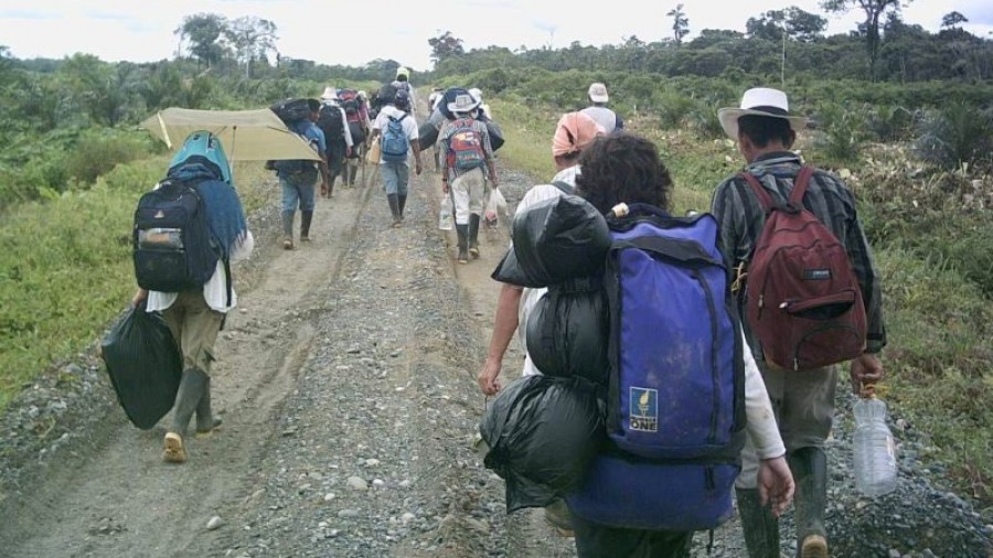 Senado alista Ley General de Protección a Desplazados Internos
