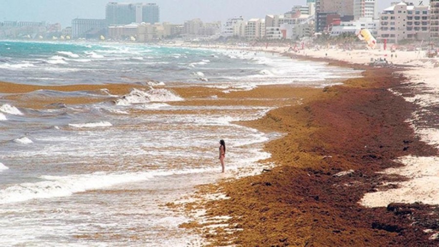 Señala Inegi que México recibió 7.7 millones de turistas este junio