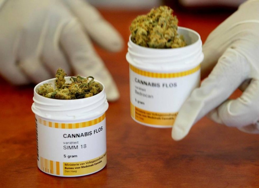 Identifican potentes moléculas analgésicas en el cannabis