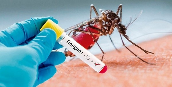 Registran más de 5 mil casos de dengue en Veracruz y desabasto de medicamentos contra el cáncer