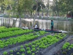 Pide Verde Ecologista se fortalezca al campo