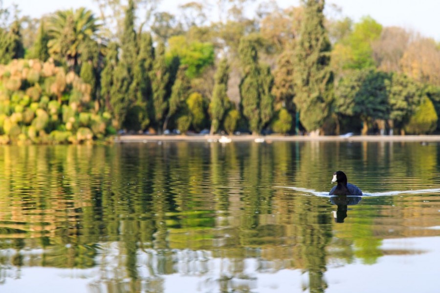 Anuncian creación de Plan Maestro para rehabilitar la sección III de Chapultepec