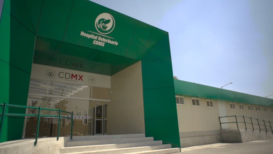Supera expectativas Hospital Veterinario de CDMX en su primer año