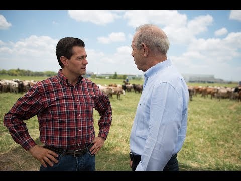 Peña Nieto arranca promoción del quinto Informe de Gobierno