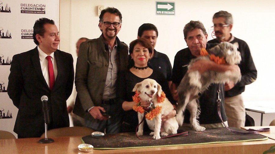 Anuncia CuauhtÃ©moc festival para honrar a los perros