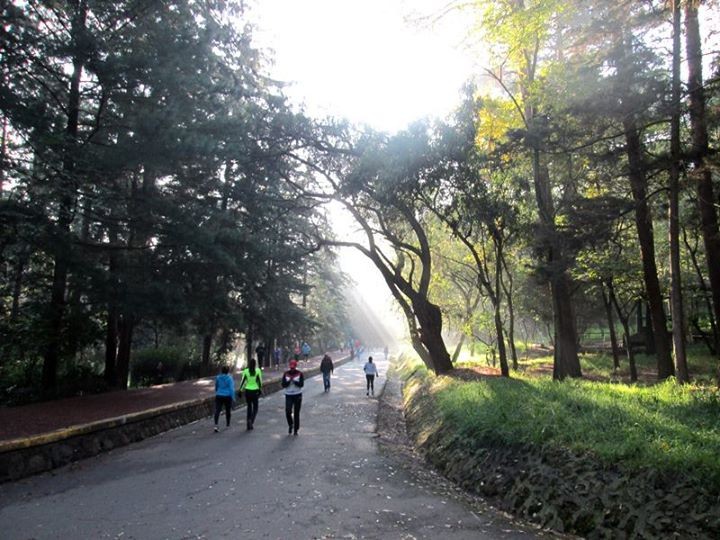 Corredores denuncian presunta violaciÃ³n en Bosque de Tlalpan; exigen mayor seguridad