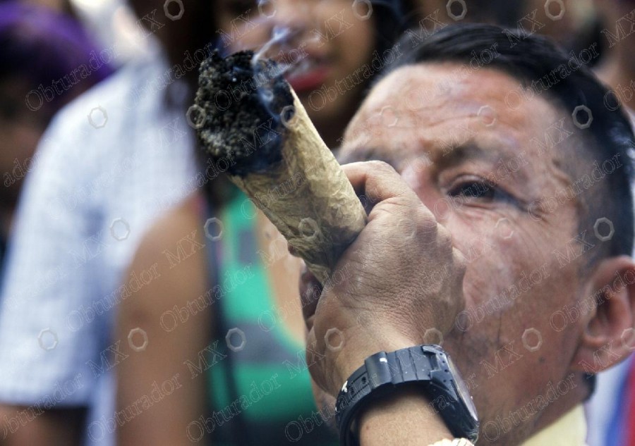 Encuentran culpable a transportista de mariguana