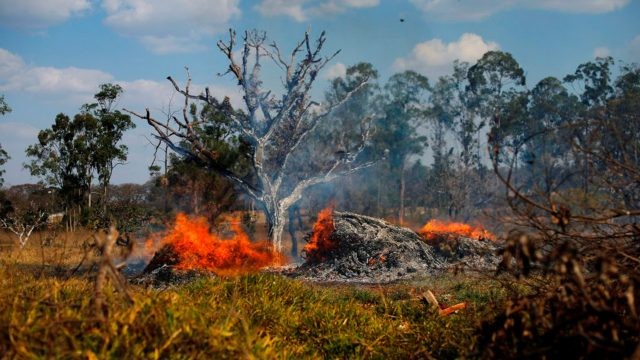 Buscan respuesta al incendio del Amazonas líderes del G7