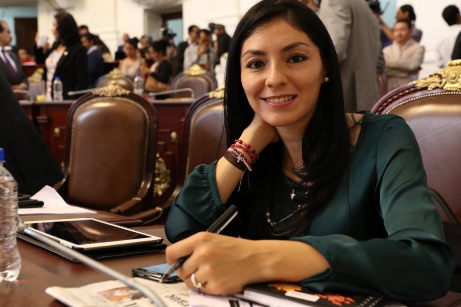 Pide Pan que secretaria de Ambiente local rinda cuentas sobre tala de árboles